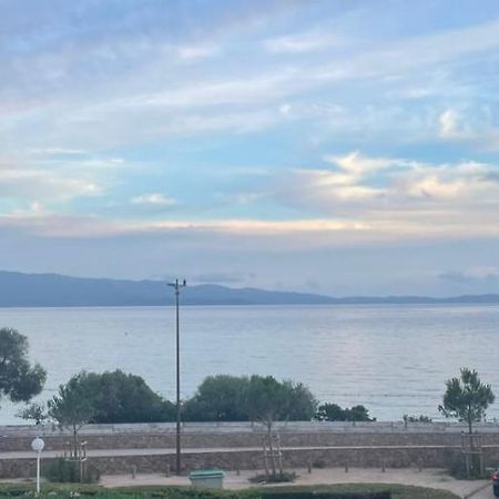 Superbe Pieds Dans L Eau Ajaccio Face A La Mer Plage De Sable Fin Route Des Iles Des Sanguinaires Ngoại thất bức ảnh