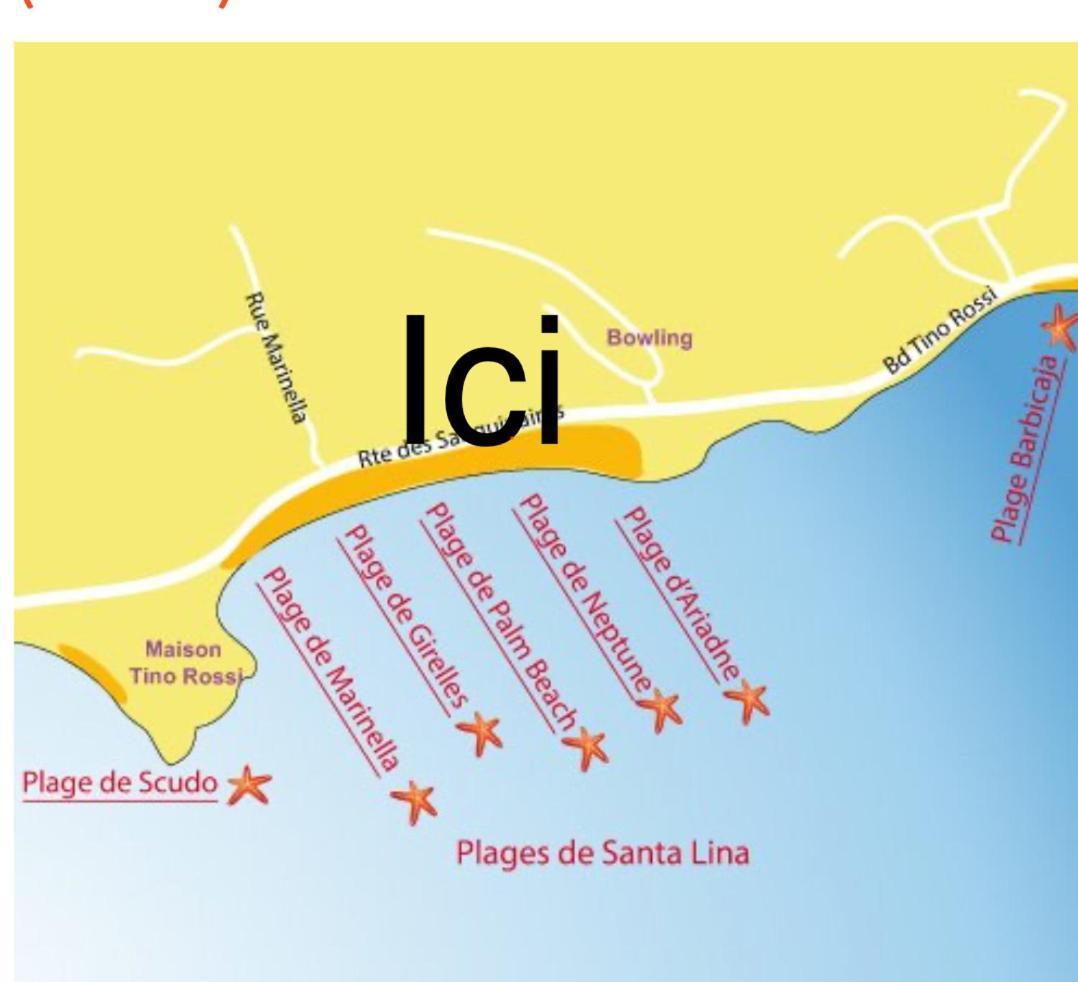 Superbe Pieds Dans L Eau Ajaccio Face A La Mer Plage De Sable Fin Route Des Iles Des Sanguinaires Ngoại thất bức ảnh
